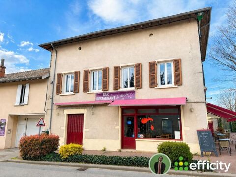 Commerces/Negoce 66000 01990 Chaneins