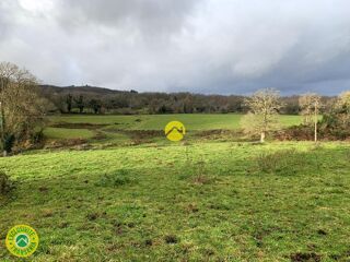  Propri�t�/ch�teau � vendre 154 m�