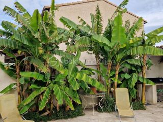  Maison � vendre 4 pi�ces 71 m�