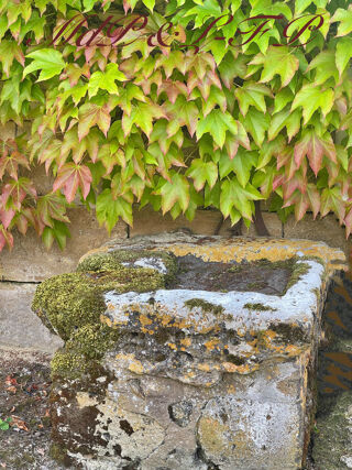  Maison � vendre 10 pi�ces 356 m�