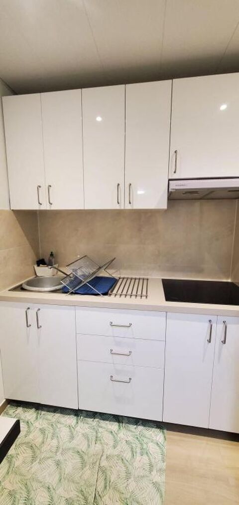  Appartement � louer 1 pi�ce 11 m�