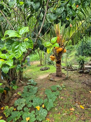  Maison � vendre 5 pi�ces 125 m�