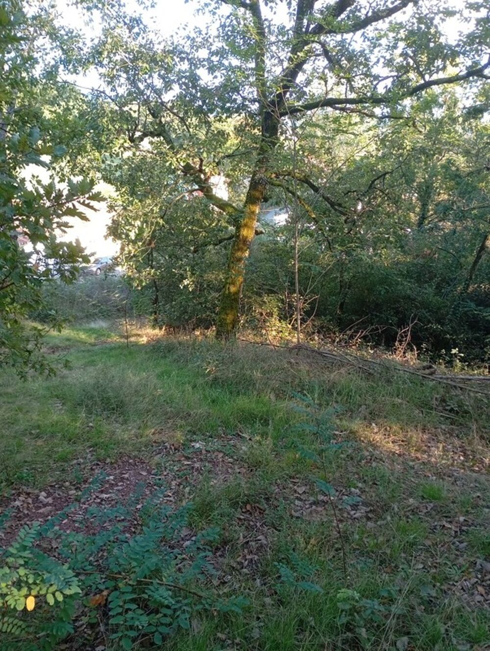 Vente Terrain Terrain à vendre  ALBI (81) Albi