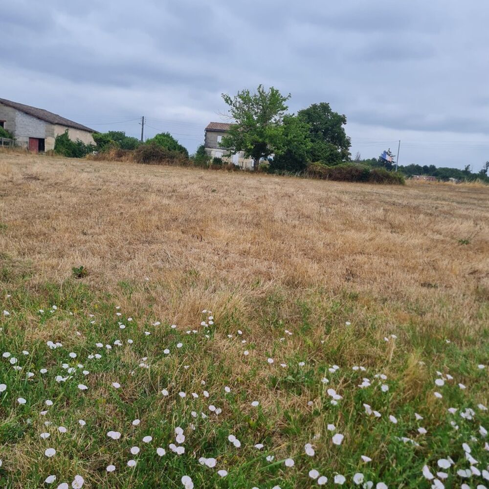 Vente Terrain COUTRAS (33) terrain 881 m² Coutras