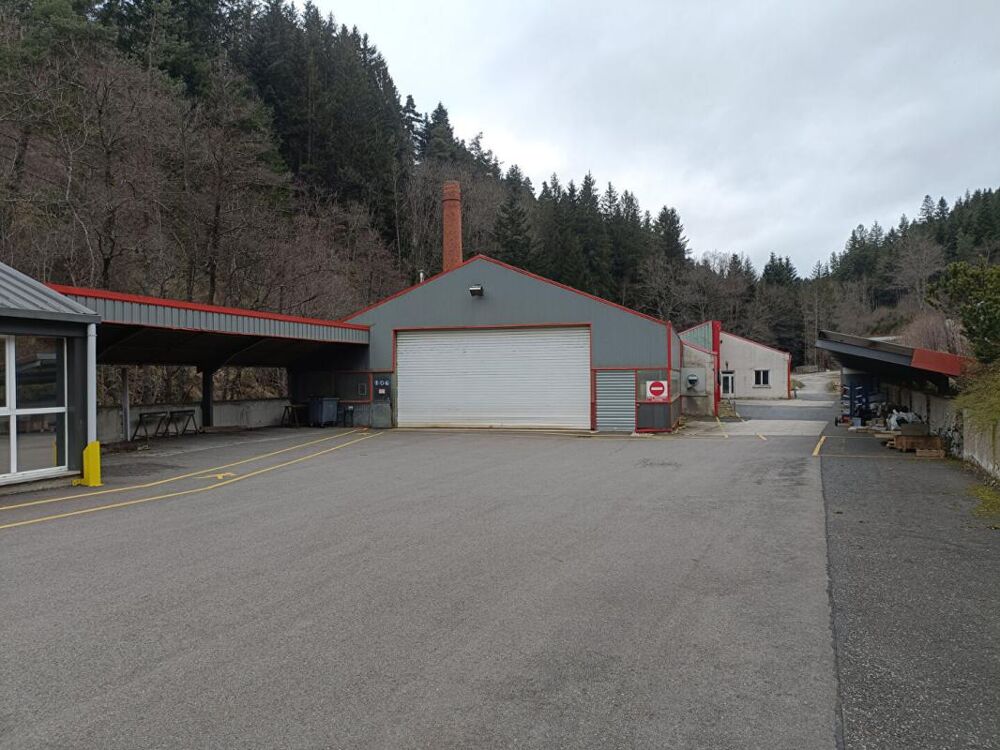   43220 DUNIERES -  locaux d'activité comprenant des bureaux, un bâtiment industriel et des locaux à usage de stockage 