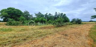  Terrain à vendre 1151 m²