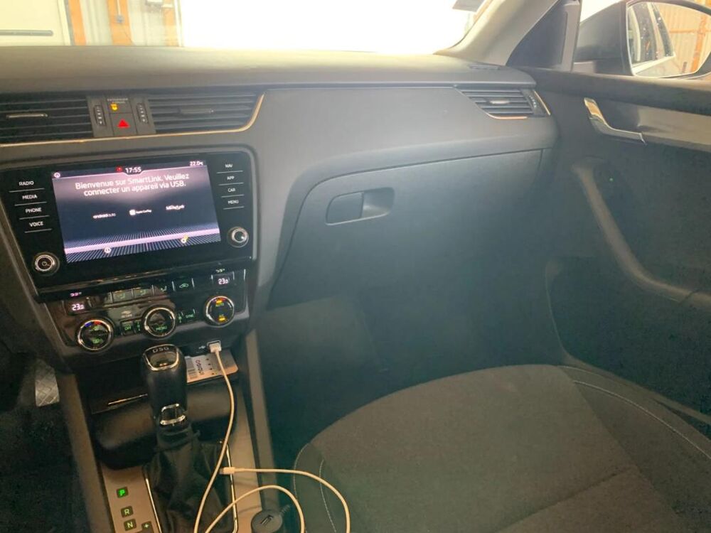 Octavia 2.0 TDI 150 ch SCR FAP DSG7 Edition 2019 occasion 56120 Les Forges De Lanouee