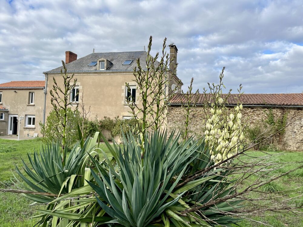 Vente Maison Maison de Caractère 272m² MORMAISON, Montreverd (85260) Mormaison