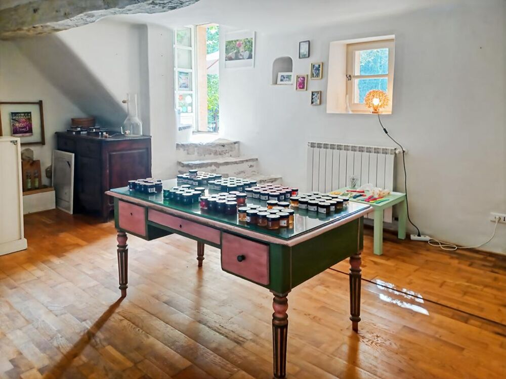 à vendre  Maison Peymeinade (06530)