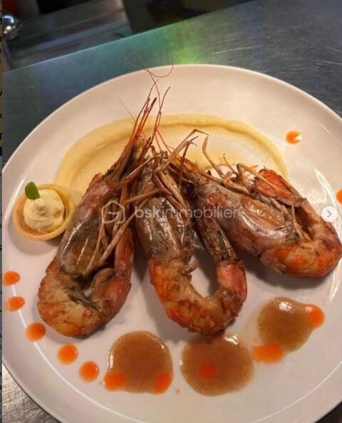 Fonds de commerce au coeur palpitant du centre ville 187900 11100 Narbonne