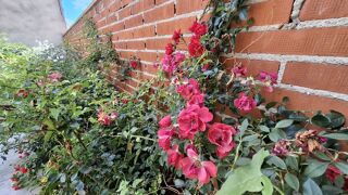  Maison � vendre 5 pi�ces 96 m�