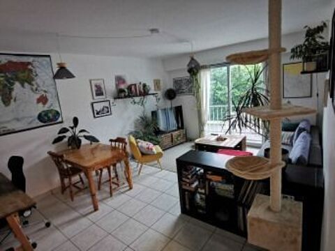  Appartement � louer 2 pi�ces 61 m�