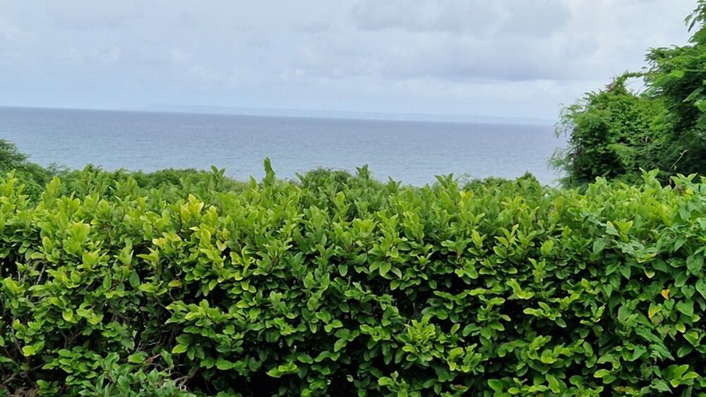 Vente Villa Superbe villa VUE MER avec bungalow et piscine sur plus de 1000 m² de terrain Saint francois