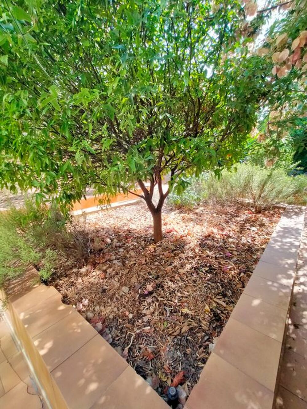 Location Appartement Chambre de 12m2 à louer sur Toulon Toulon