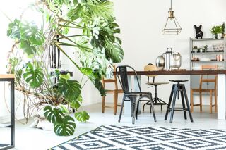  Appartement � vendre 2 pi�ces 40 m�