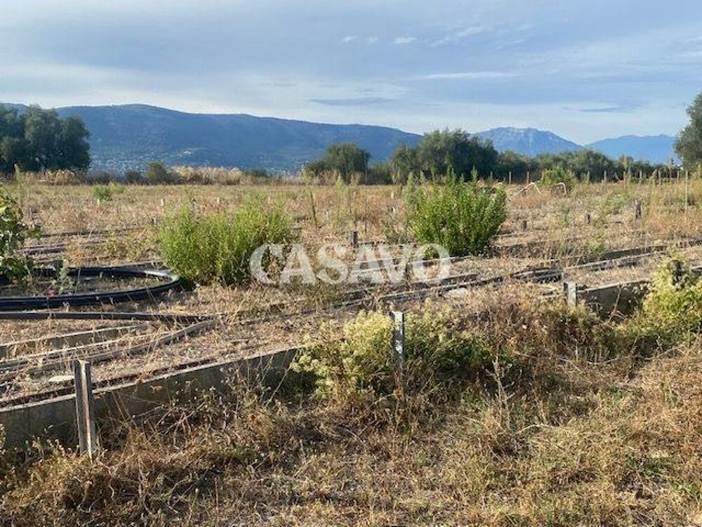 Vente Terrain Terrain plat à bâtir Nice secteur Crémat Nice