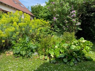  Maison à vendre 6 pièces 111 m²