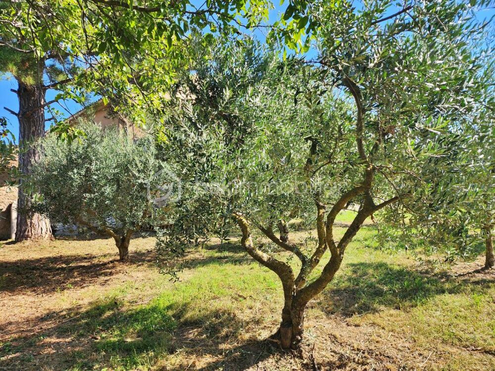 Vente Maison MAISON DE CAMPAGNE DE 110M² SUR 1474M² DE TERRAIN Merindol