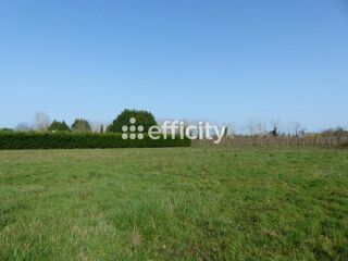  Terrain à vendre 6910 m²