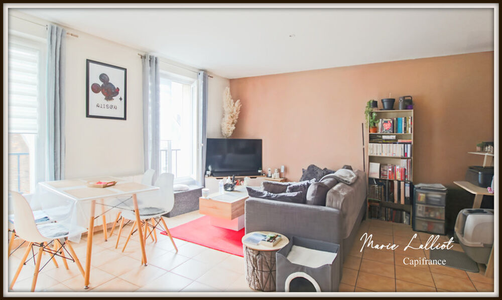 Vente Immeuble Immeuble de Rapport à vendre PUISEAUX (45), 2 Studios, 2 F2, Garages indépendants Puiseaux