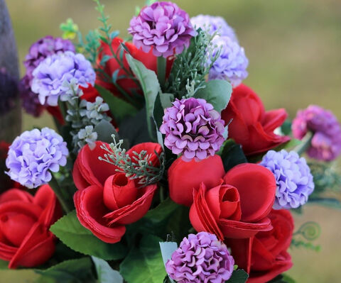   BASTIA : vente FDC GROSSISTE FLEURS ET PLANTES 