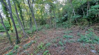  Terrain � vendre 1013 m�