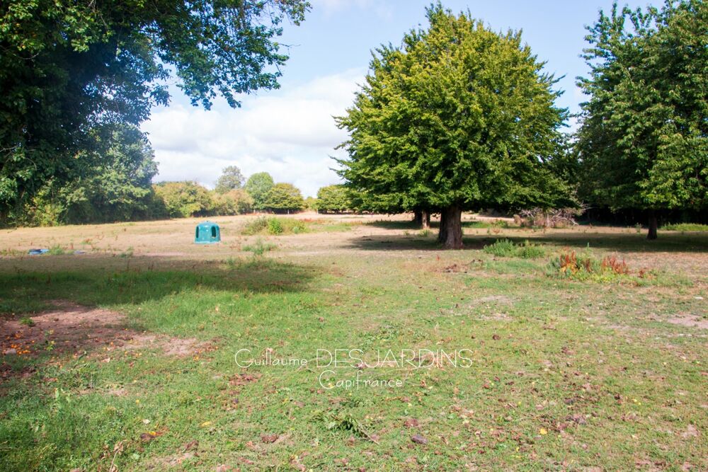 Vente Maison Propriété sur 1.5ha avec maison 7 pièces MONTS SUR ORNE (61) Monts sur orne