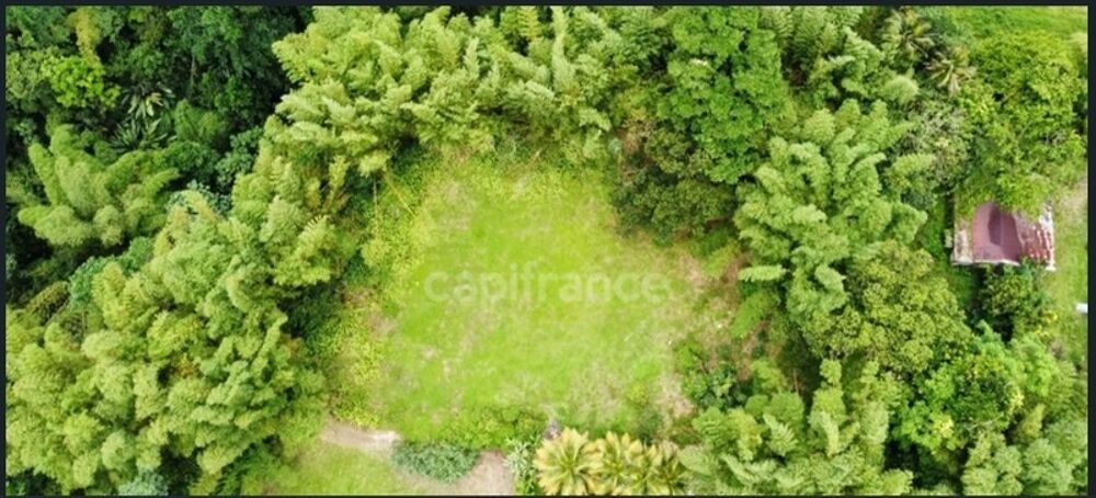 Vente Terrain À Vendre – Grand terrain à bâtir de 6 130 m² à Ajoupa-Bouillon (Martinique) L ajoupa bouillon