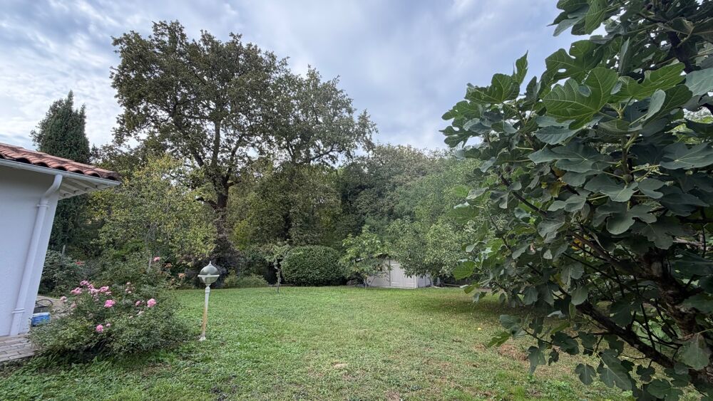 à vendre  Propriété/château Gradignan (33170)