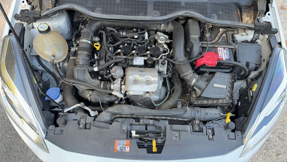 Fiesta 1.0 Ecoboost 100 Active 2019 occasion 26000 Valence