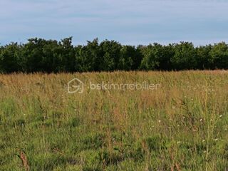  Terrain à vendre 6000 m²