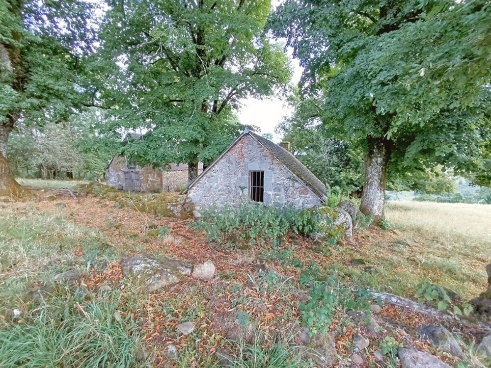 Exceptionnel ! Propriété de 36 hectares avec buron Proche de Salers