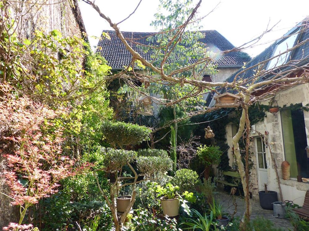 Vente Maison MAISON D'ARTISTE CHATILLON SUR LOIRE VIAGER OCCUPÉ Chatillon sur loire