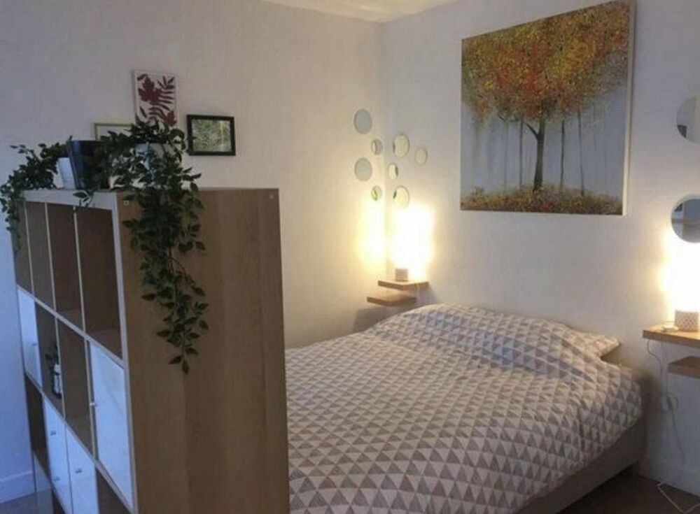 Location Appartement Studio de 29m2 à louer sur Paris 15 Paris 15