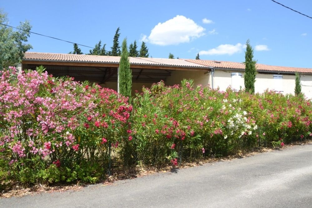 Vente Maison Maison de campagne de caractère – 186 m² – Piscine chauffée – Dépendances Mazerolles du razes