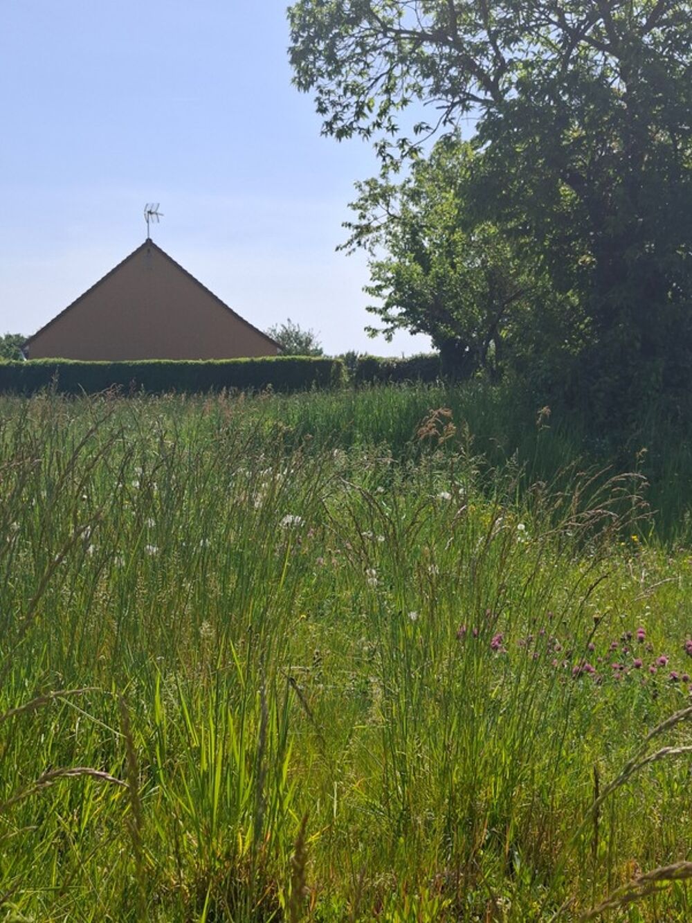 Vente Terrain Terrain à vendre au cœur de FRESNAY SUR SARTHE (72130), Les Alpes Mancelles, au calme, dans impasse. Opportunité à saisir ! Fresnay sur sarthe
