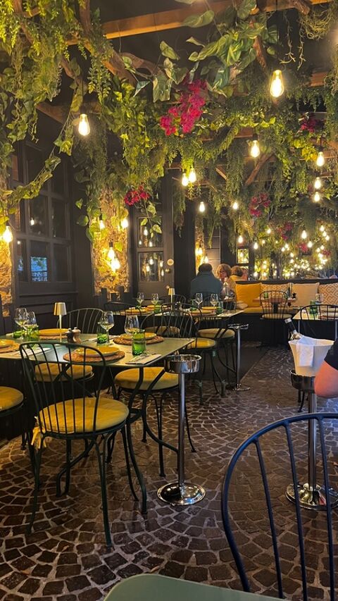 Restaurant- Terrasse- LYON 7EME  (69) 448000 69007 Lyon 7eme arrondissement