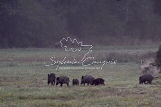  Proprit/chteau  vendre 15 + pices 800 m