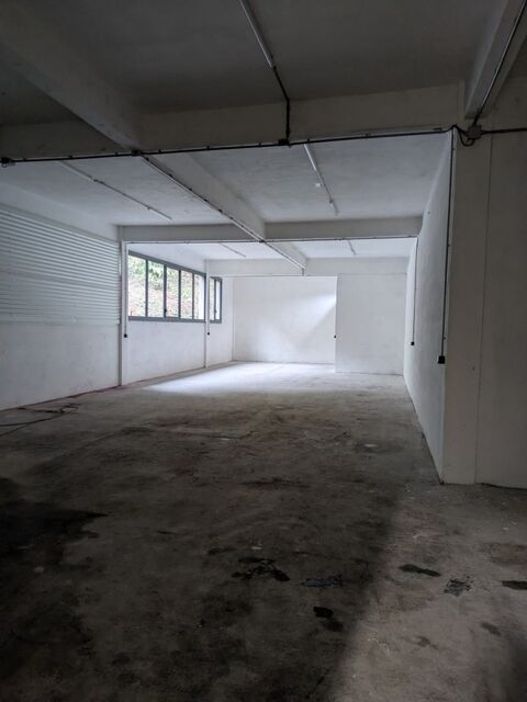 Locaux industriel &agrave; louer FROGES (38) 150 m&sup2; 1080 38920 Crolles