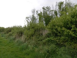  Terrain � vendre 2924 m�