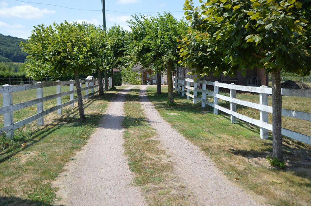 Propriété avec 2 maisons, dépendances et terrain sans vis-à-vis Montmort 260 m2