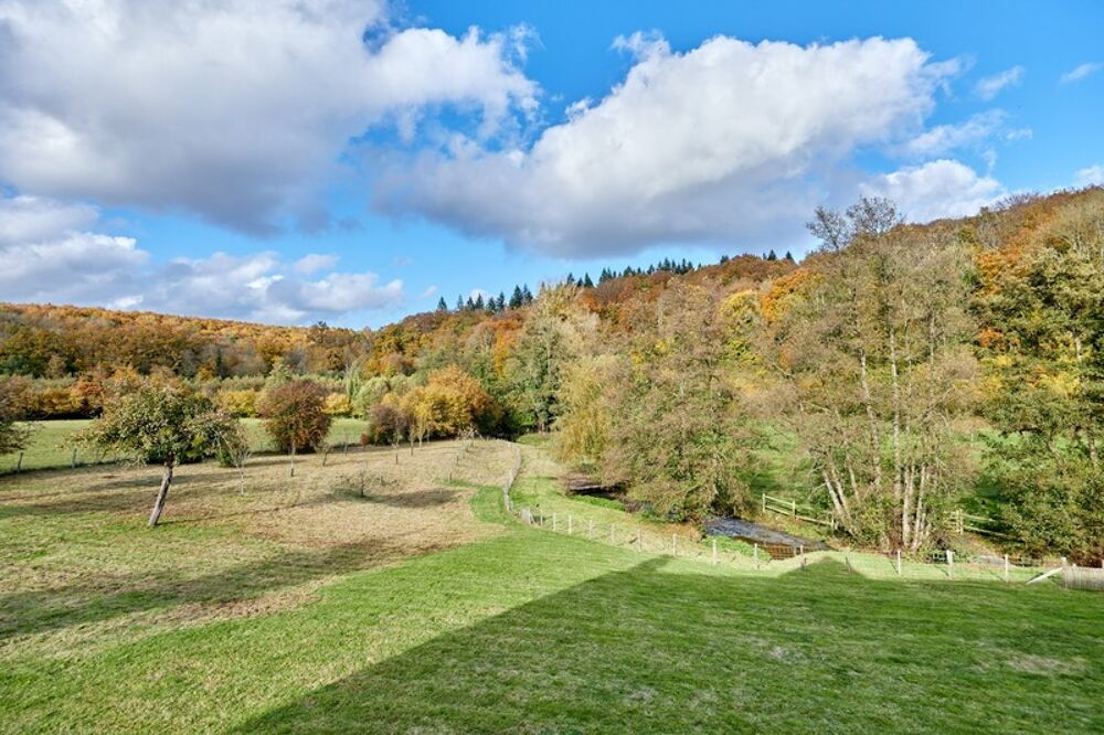 Propriété de charme entre Lisieux et Pont l'Evêque - 4 chambres - Piscine et terrain de 1.9 ha