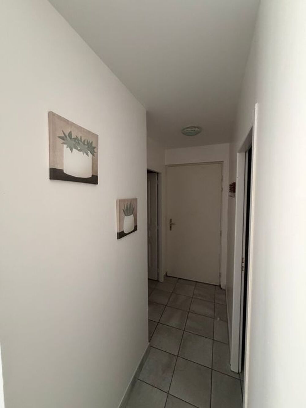 Location Appartement Appartement de 36m2 à louer sur Chaveignes Chaveignes