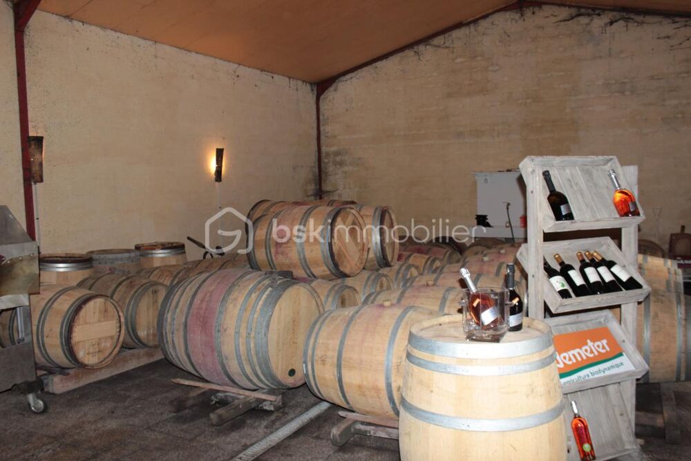 Vente Proprit/Chteau Domaine viticole avec maison et gite Saint seurin de cursac