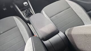 Fabia III 1.0 TSI 95 Drive 125 Ans 2020 occasion 37390 Saint Roch
