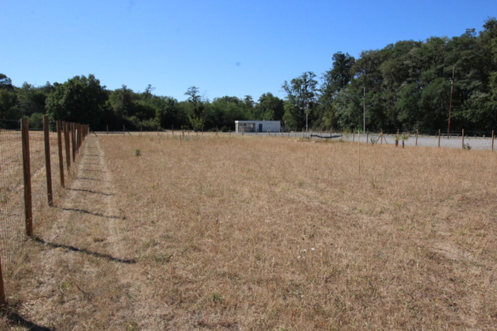 Vente Terrain Terrain Targe 3601 m2 Chatellerault