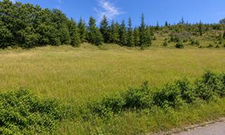  Terrain à vendre 1125 m²