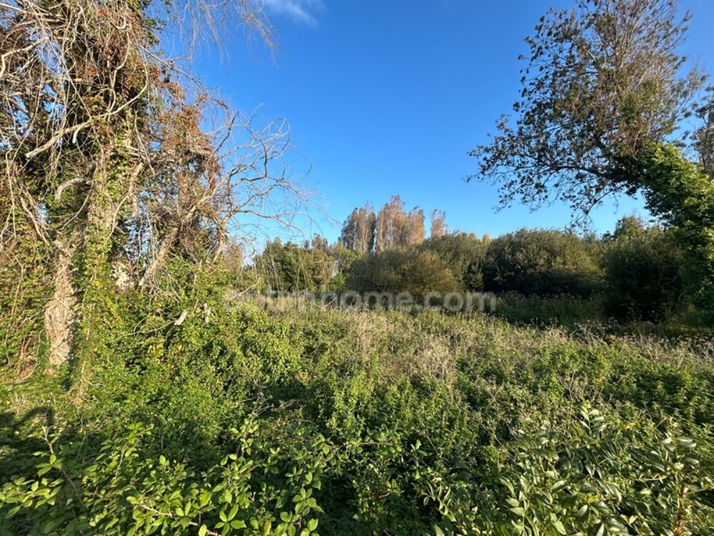 Vente Terrain Terrain constructible avec permis purgé à vendre de 2500 m² SAINT GEORGES D'OLERON (17) Saint georges d oleron
