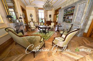  Propriété/château à vendre 15 + pièces 560 m²