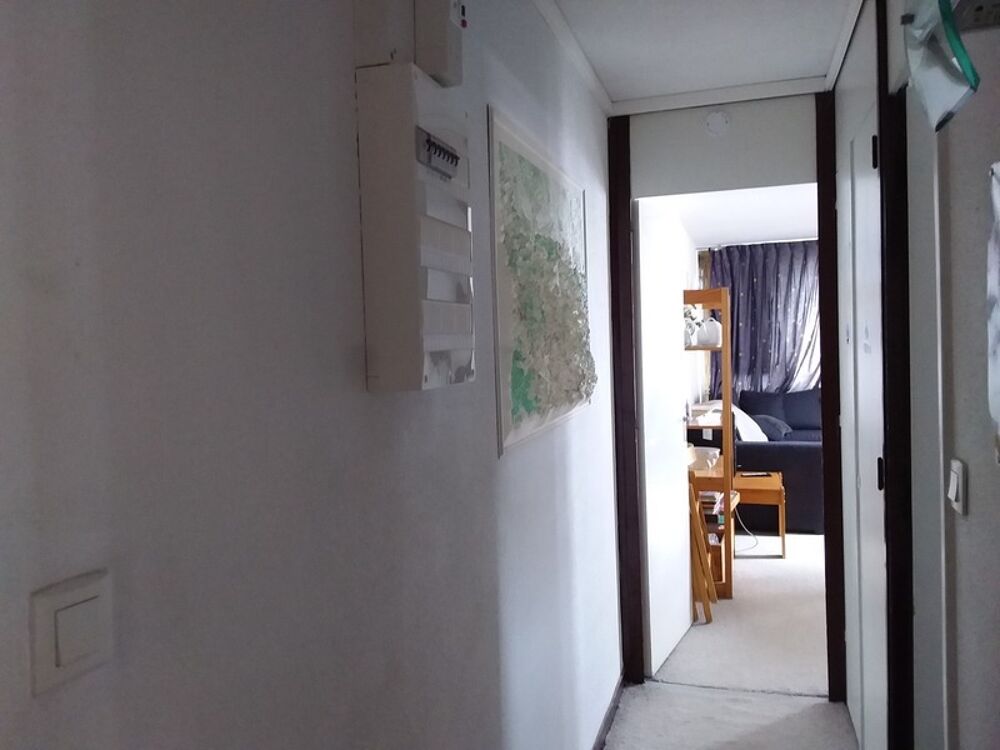 Vente Appartement Appartement à vendre 2 pièces LA MONGIE (65), avec cellier, casier à ski, terrasse, et parking intérieur La mongie